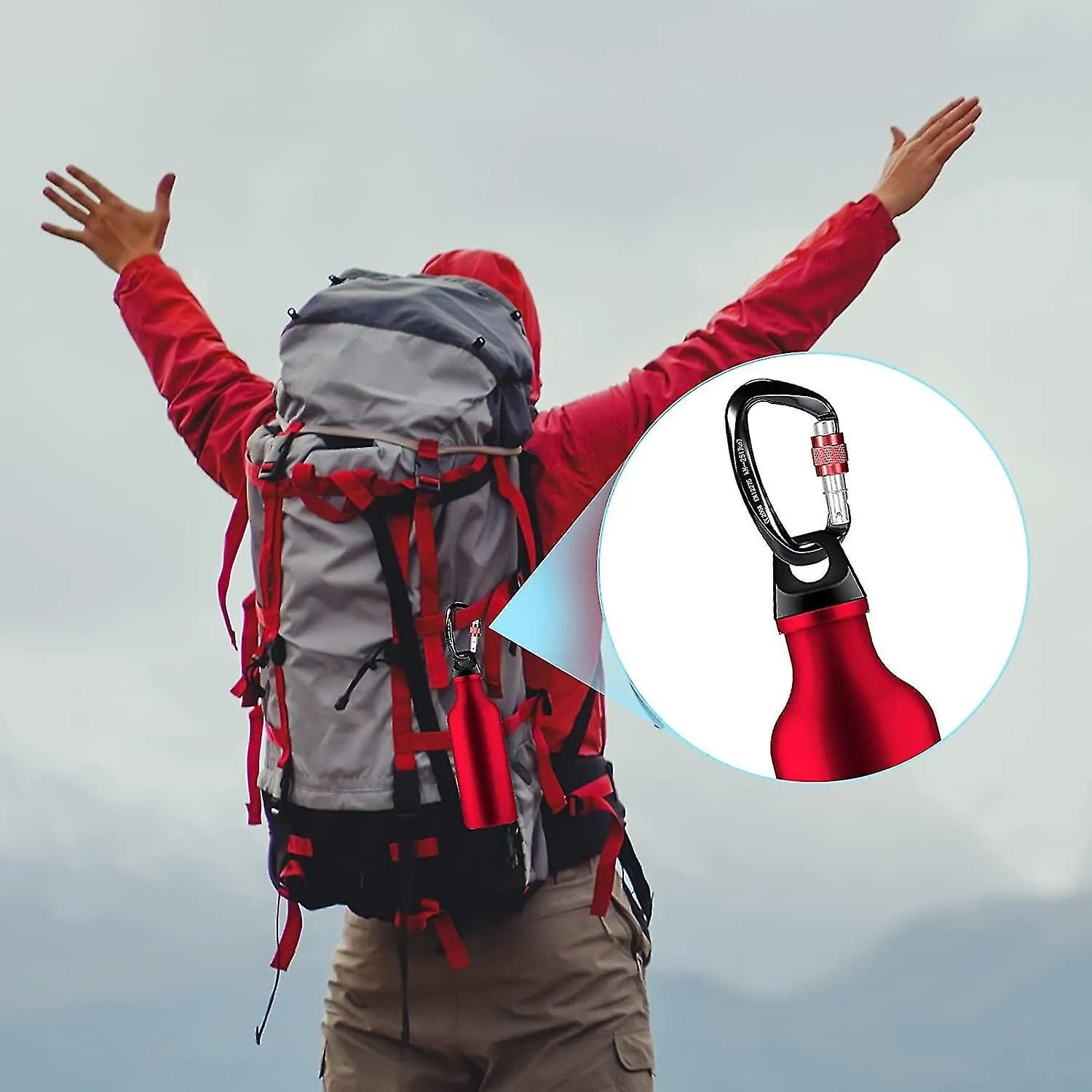 25kn Climbing Carabiner 2pcs , Heavy Duty Aluminum D-shape Locking Safety Carabi