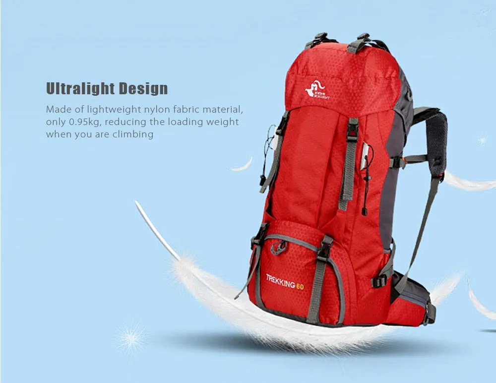 Backpacks Affordable luxury Camping 60L  Tested