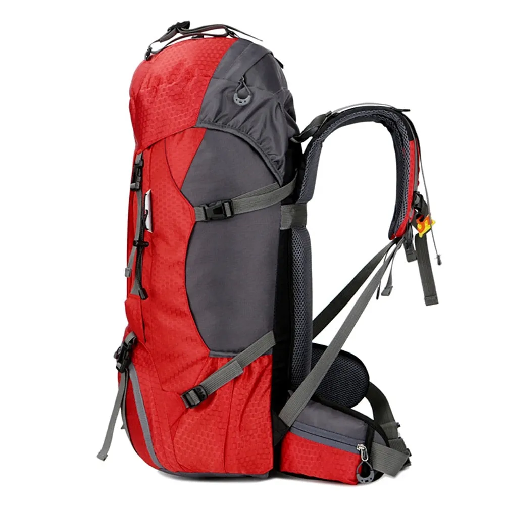 Backpacks Affordable luxury Camping 60L  Tested