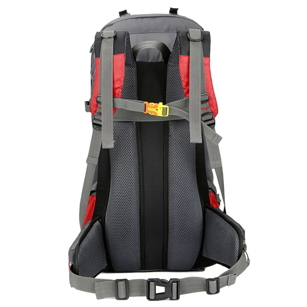 Backpacks Affordable luxury Camping 60L  Tested