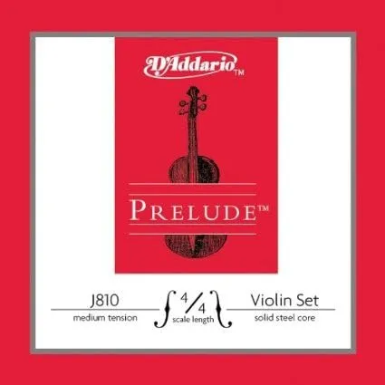 D Z Strad Violin Model 100 with Solid Wood Size 1/4 with Case, Bow, and Rosin