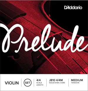D Z Strad Violin Model 101 with Solid Wood with Case, Bow, Shoulder Rest, and Rosin (1/4 - Size)