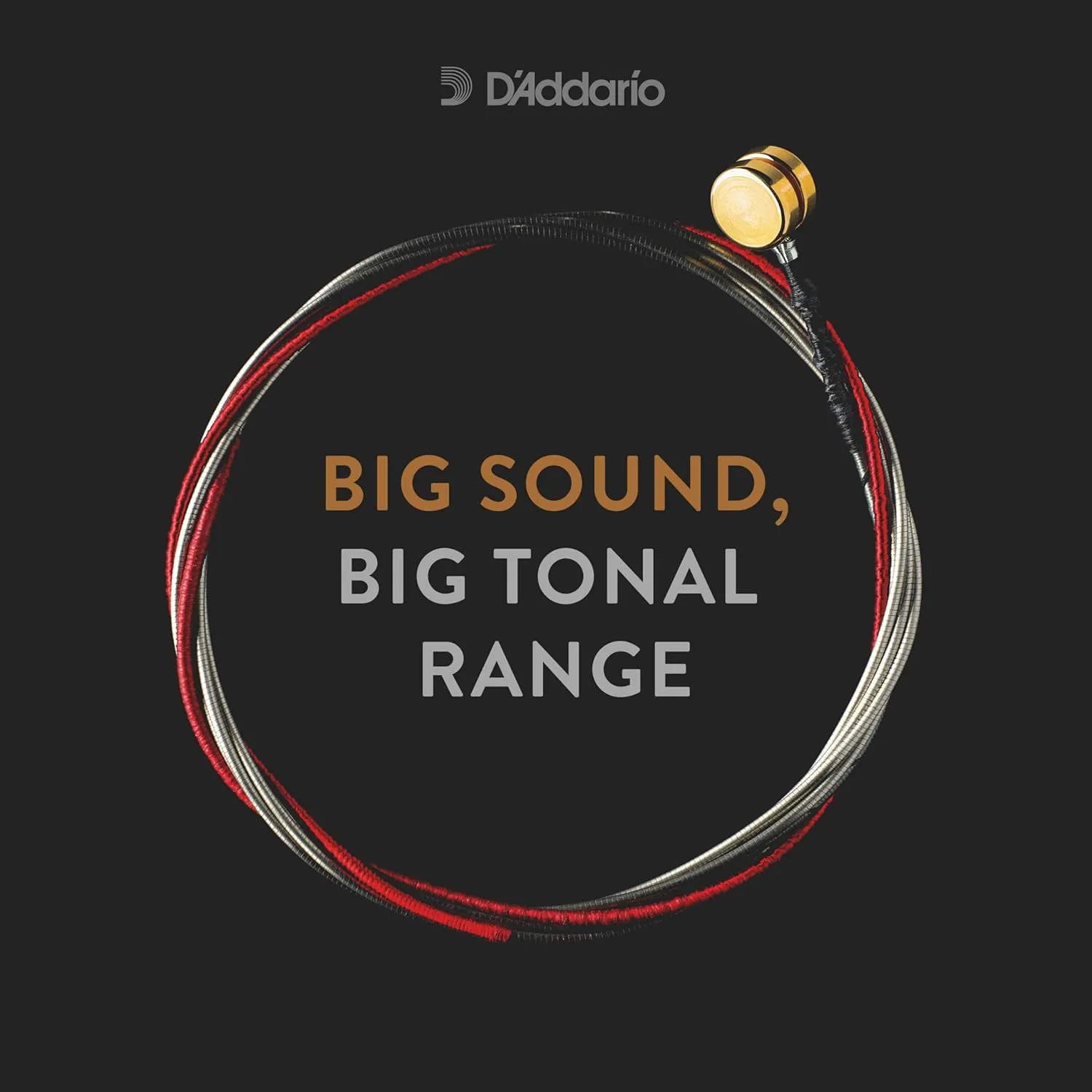 D'Addario Kaplan Bass Strings - Full Set - K610 3/4L - For Upright Bass, Double Bass - 3/4 Scale, Light Tension