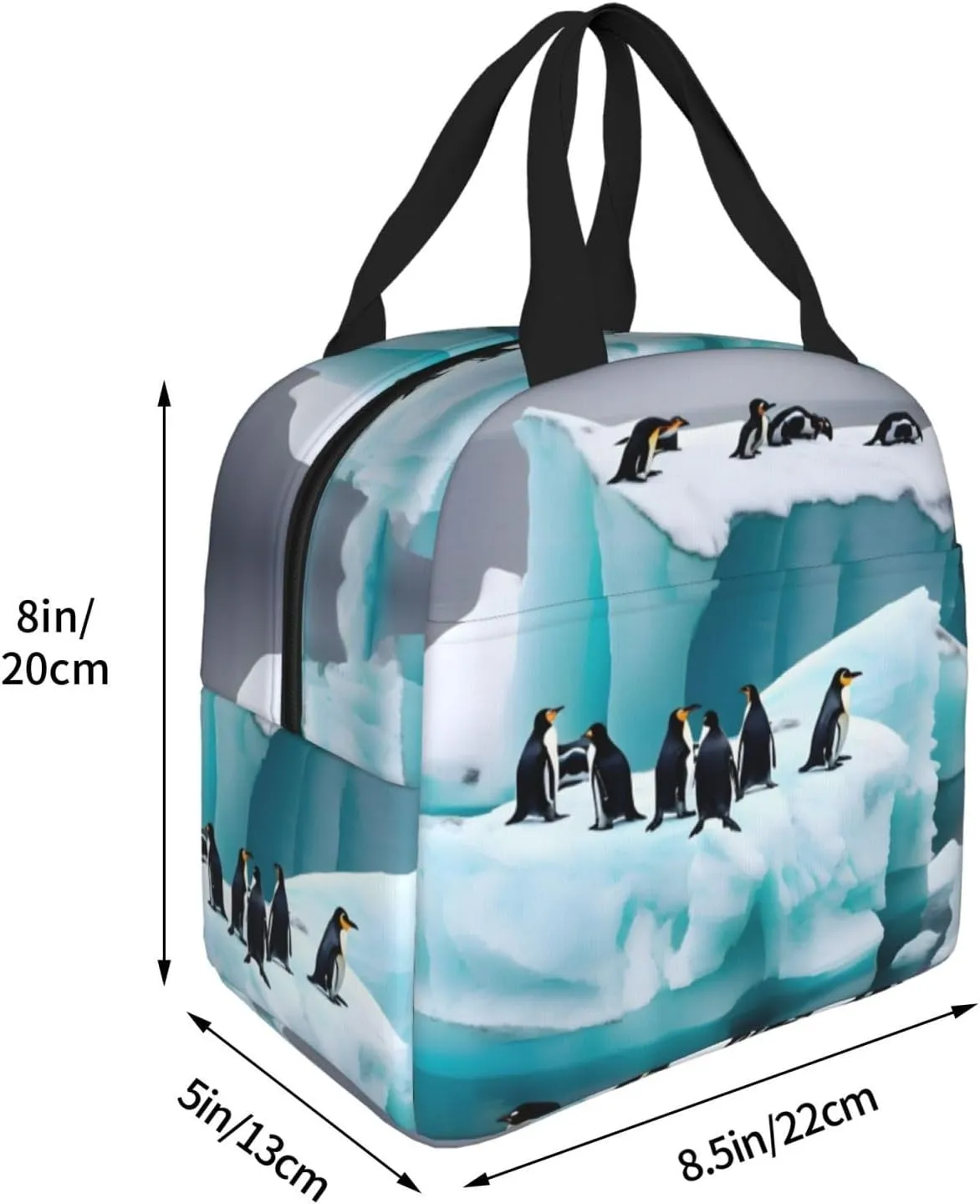 DJnni Penguins On The Iceberg Lunch Bag For Women Men, Leakproof Reusable Lunch Box,Lunch Cooler Tote For Office Outdoor Picnic