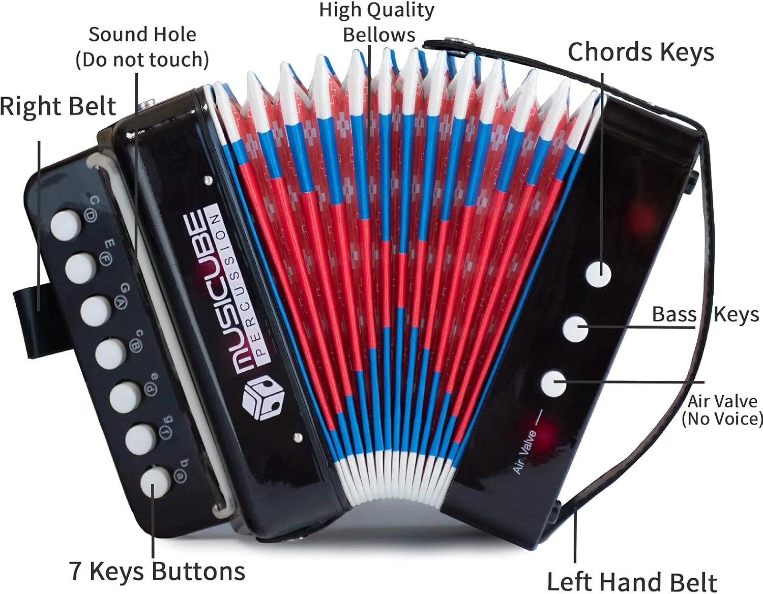MUSICUBE Kids Accordion Instrument Toys 10 Keys Button Small Accordion for Boys & Girls Educational Musical Instrument Toys Christmas Gift Choice (BLACK)