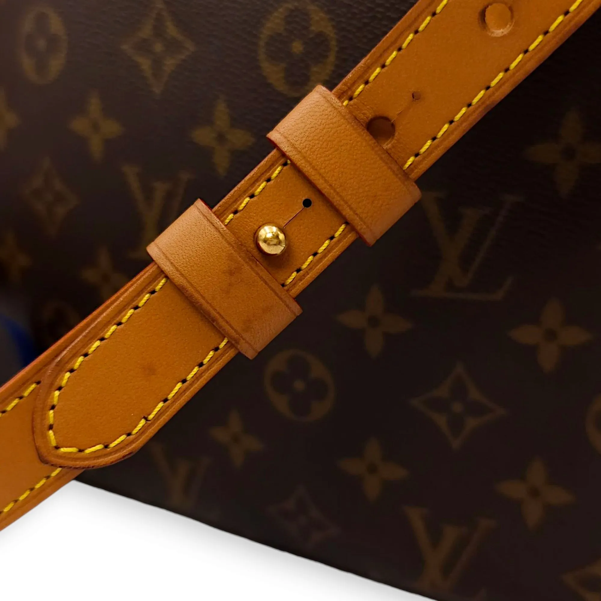 Soft Trunk PM Brown Crossbody Bag in Canvas, Calf, Gold hardware