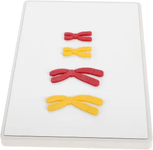 Teaching Change Model Biology Supply Magnetic Components Easy Assembly for Schools