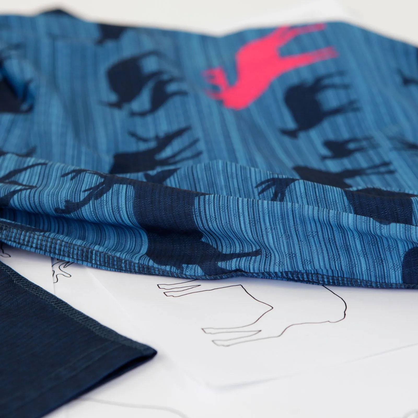 Women's Send It L/S Wild Blue Crew