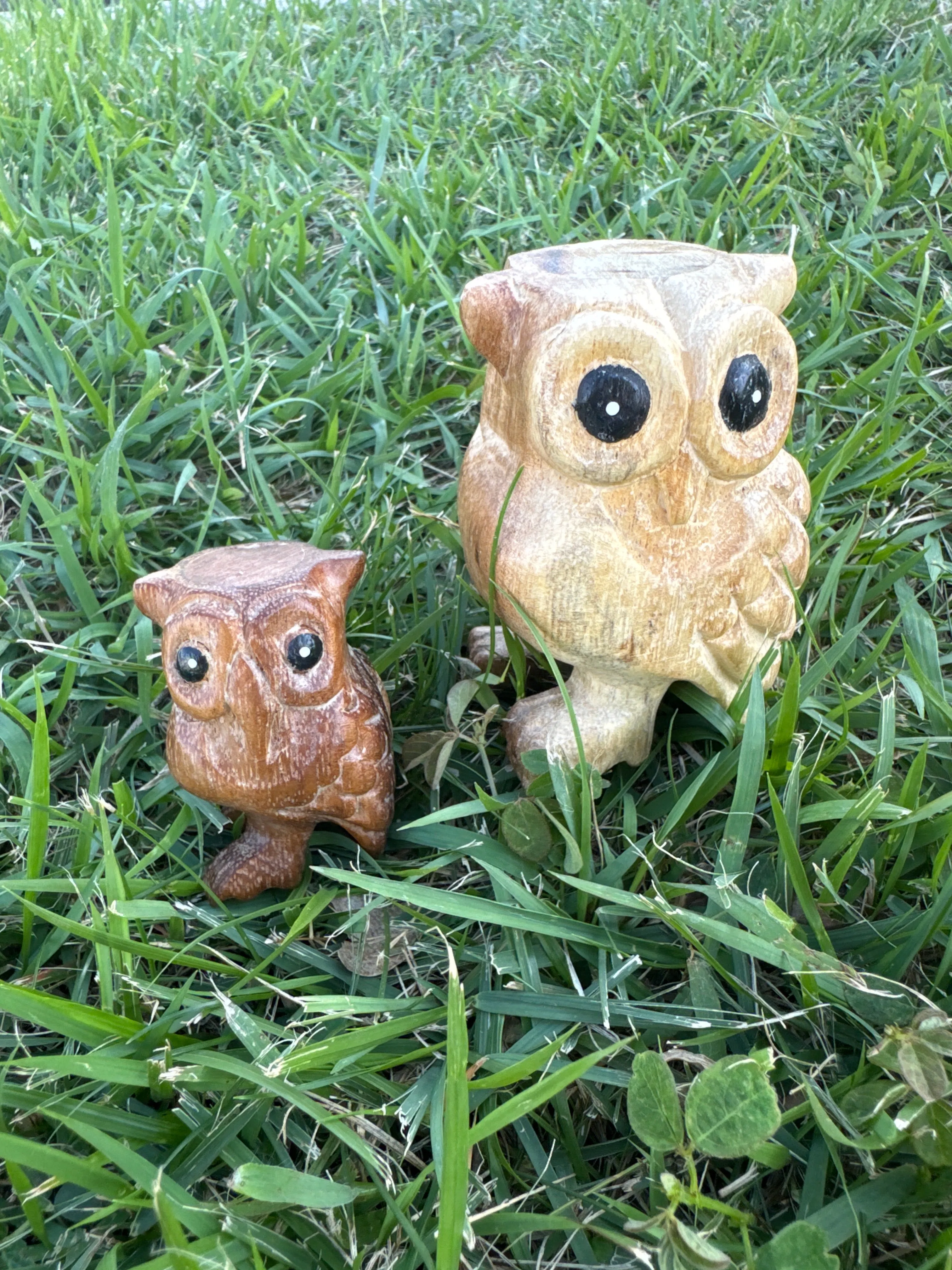 Wooden Animals - Percussion and Wind Musical Instruments
